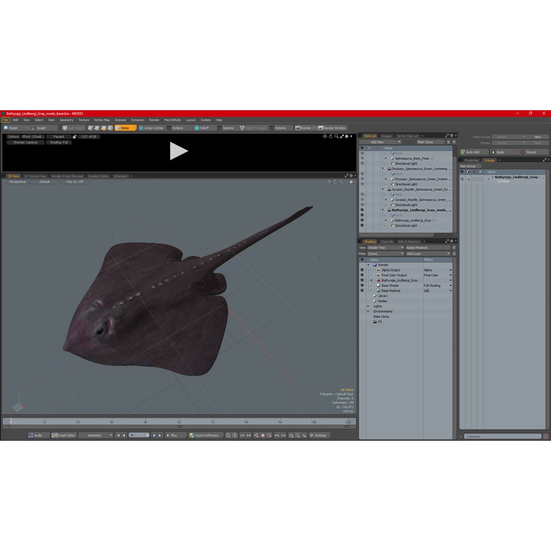 Bathyraja Lindbergi Gray 3D Model – High Poly PBR Skate Fish, FBX - View 24