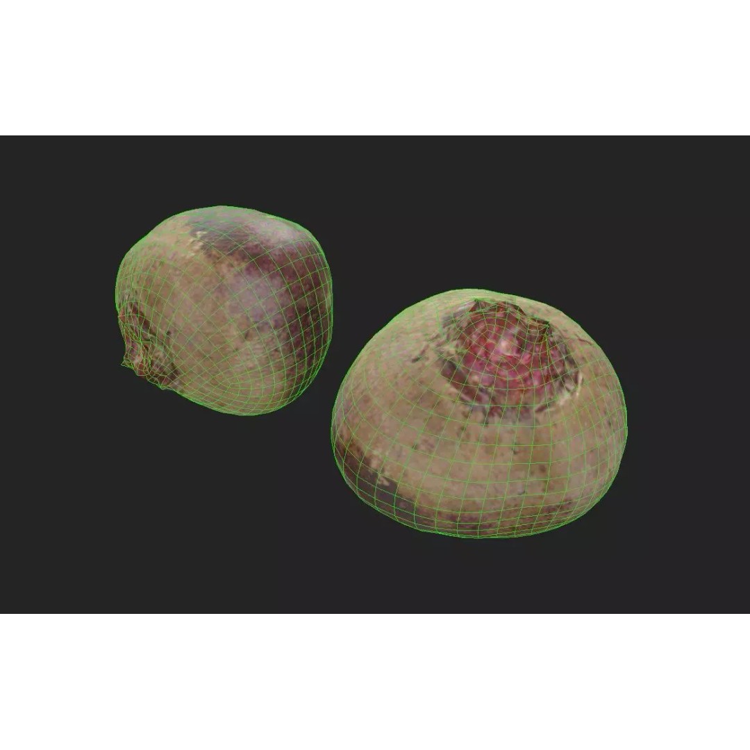 Beetroot 3D Model – Low Poly Game Asset, FBX, PBR Textures