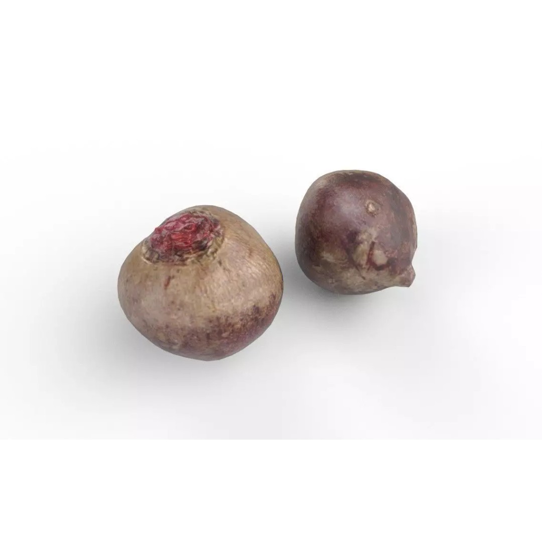 Beetroot 3D Model – Low Poly Game Asset, FBX, PBR Textures - View 2