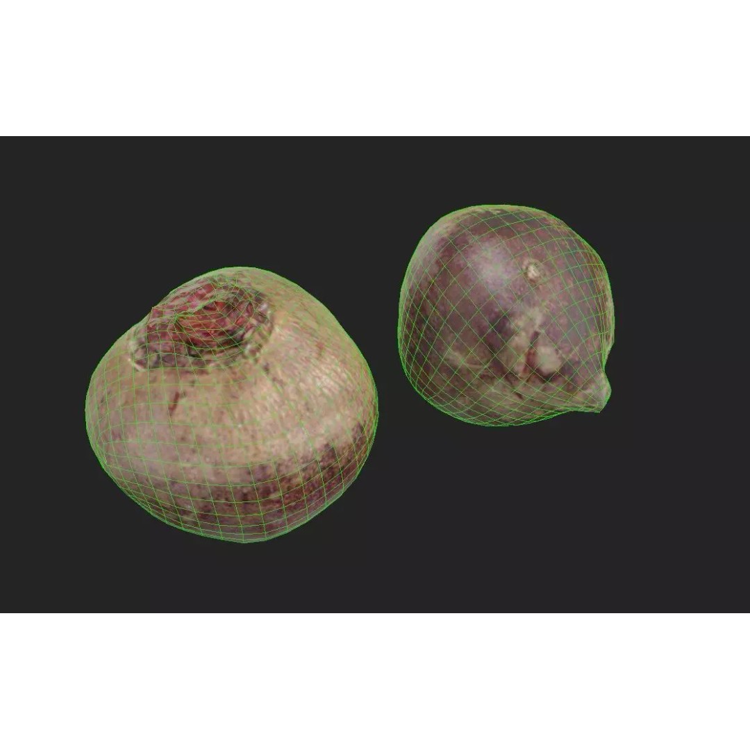 Beetroot 3D Model – Low Poly Game Asset, FBX, PBR Textures - View 3