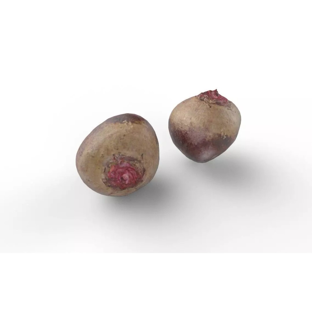 Beetroot 3D Model – Low Poly Game Asset, FBX, PBR Textures - View 6