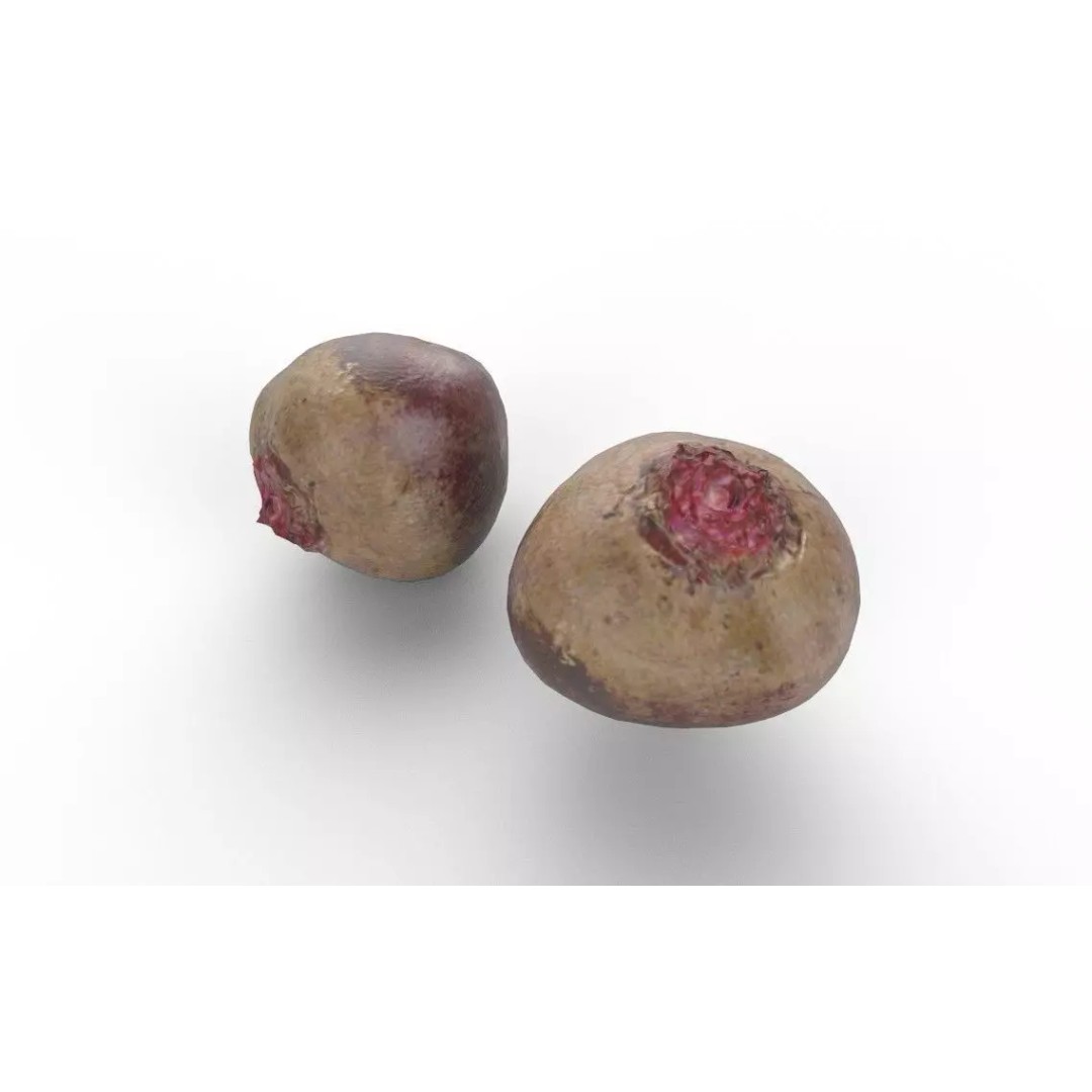 Beetroot 3D Model – Low Poly Game Asset, FBX, PBR Textures - View 7