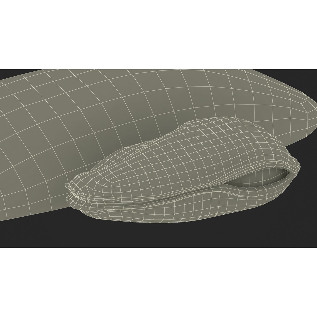Open Cooked Mussel 3D Model – High Quality PBR Asset, FBX, OBJ