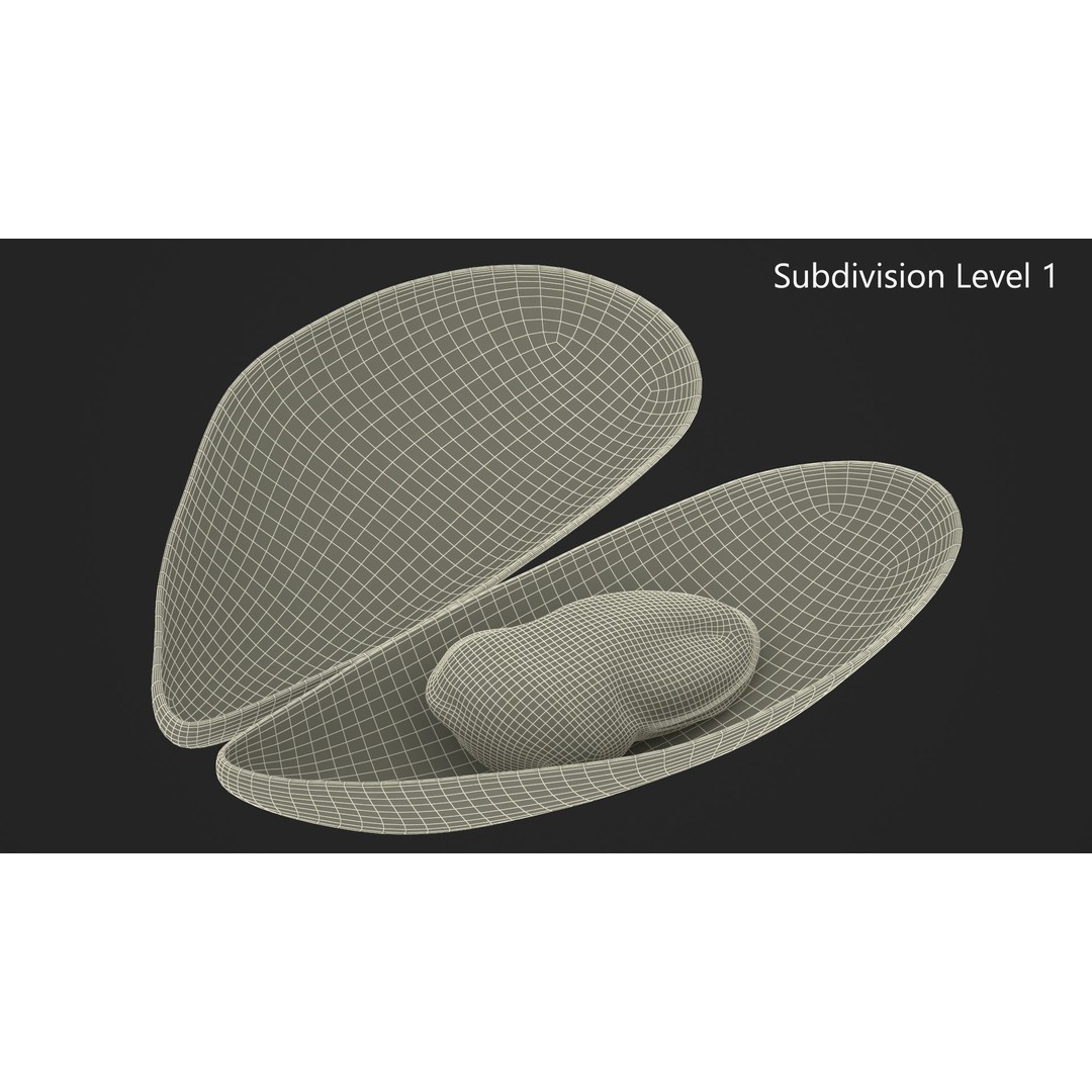 Open Cooked Mussel 3D Model – High Quality PBR Asset, FBX, OBJ - View 17