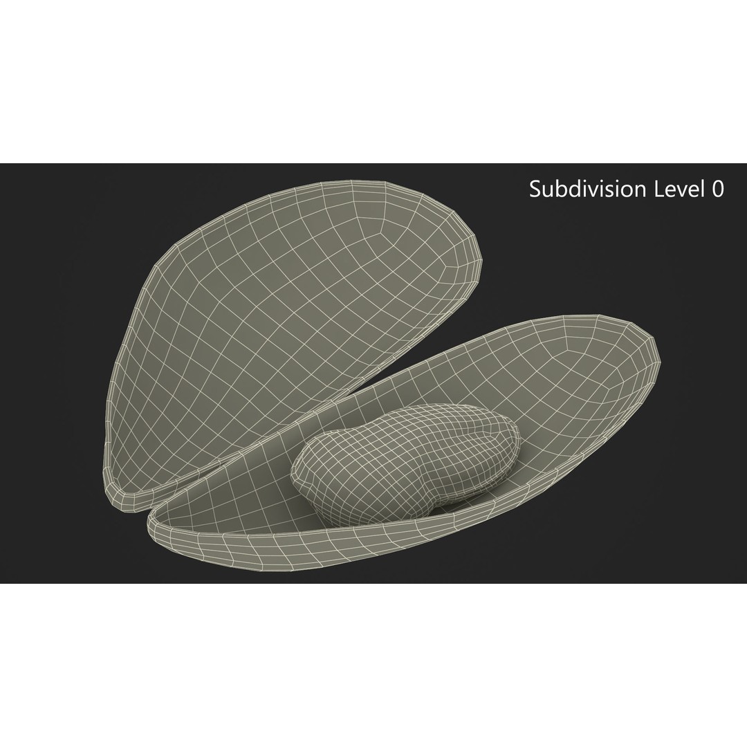 Open Cooked Mussel 3D Model – High Quality PBR Asset, FBX, OBJ - View 18