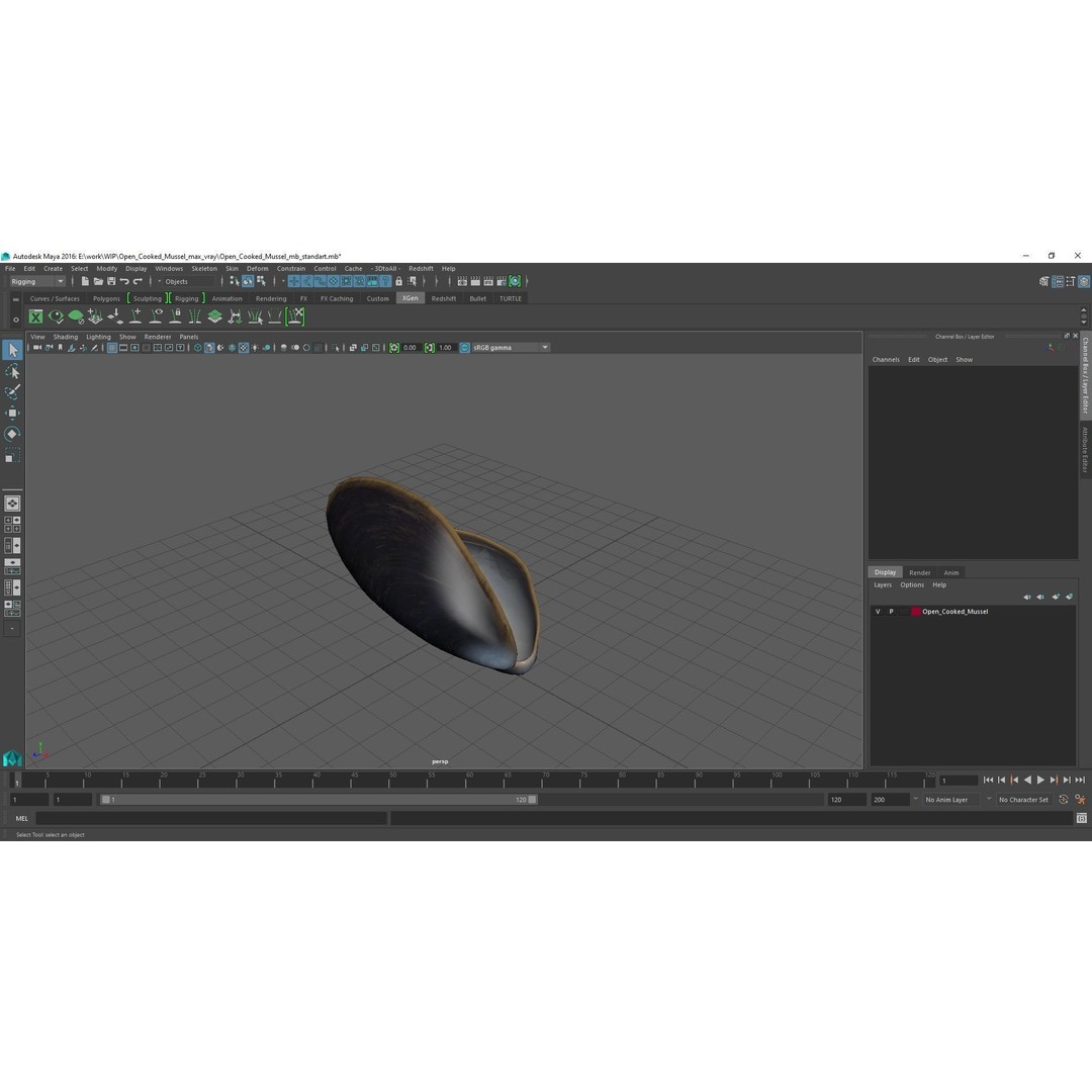 Open Cooked Mussel 3D Model – High Quality PBR Asset, FBX, OBJ - View 25