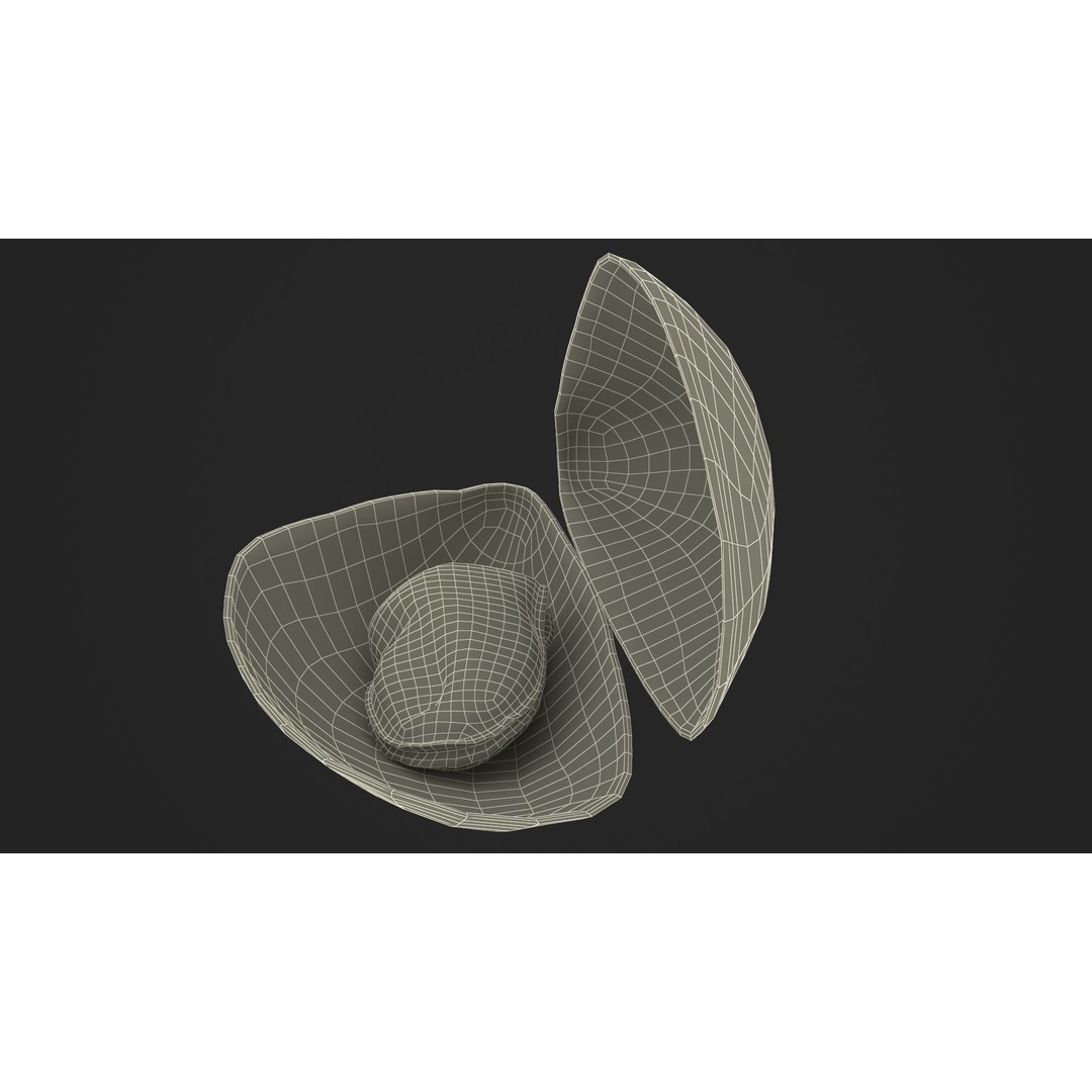 Open Cooked Mussel 3D Model – High Quality PBR Asset, FBX, OBJ - View 26