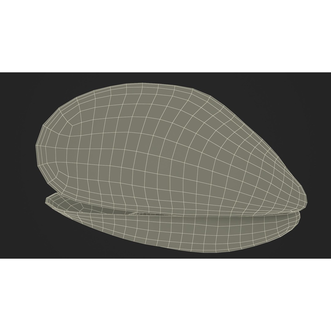 Open Cooked Mussel 3D Model – High Quality PBR Asset, FBX, OBJ - View 27