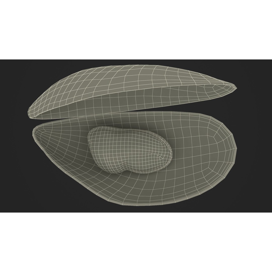 Open Cooked Mussel 3D Model – High Quality PBR Asset, FBX, OBJ - View 28