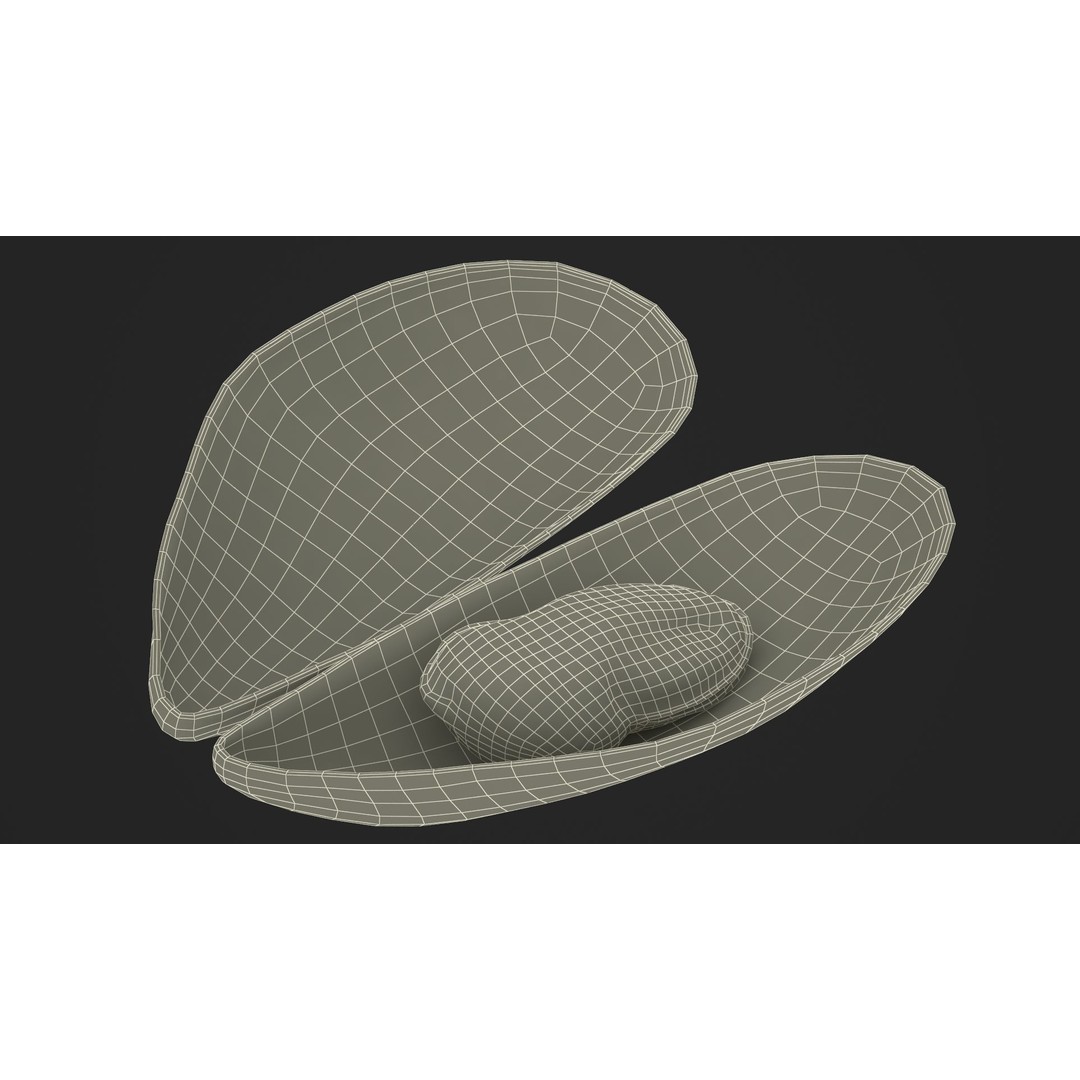 Open Cooked Mussel 3D Model – High Quality PBR Asset, FBX, OBJ - View 29