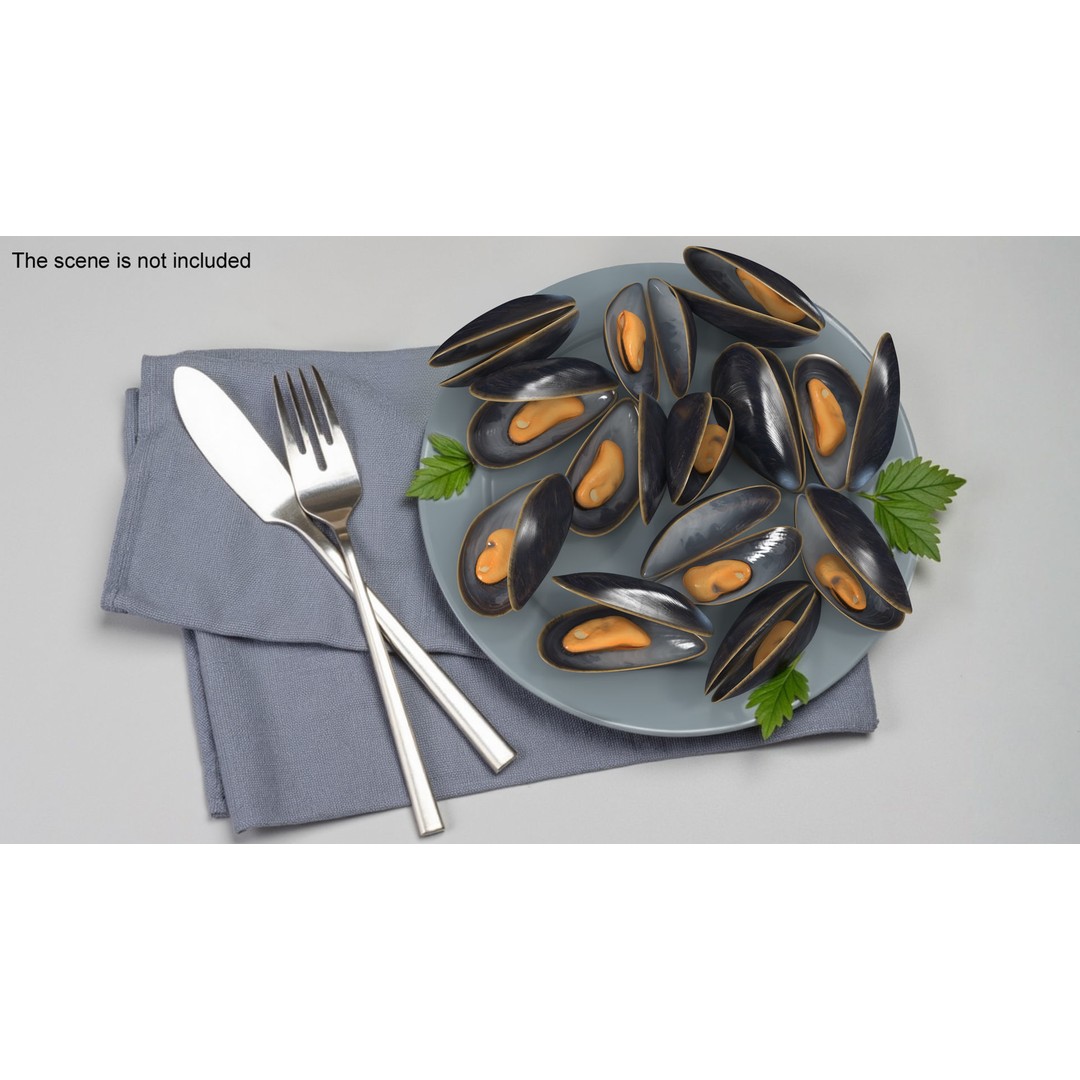 Open Cooked Mussel 3D Model – High Quality PBR Asset, FBX, OBJ - View 3