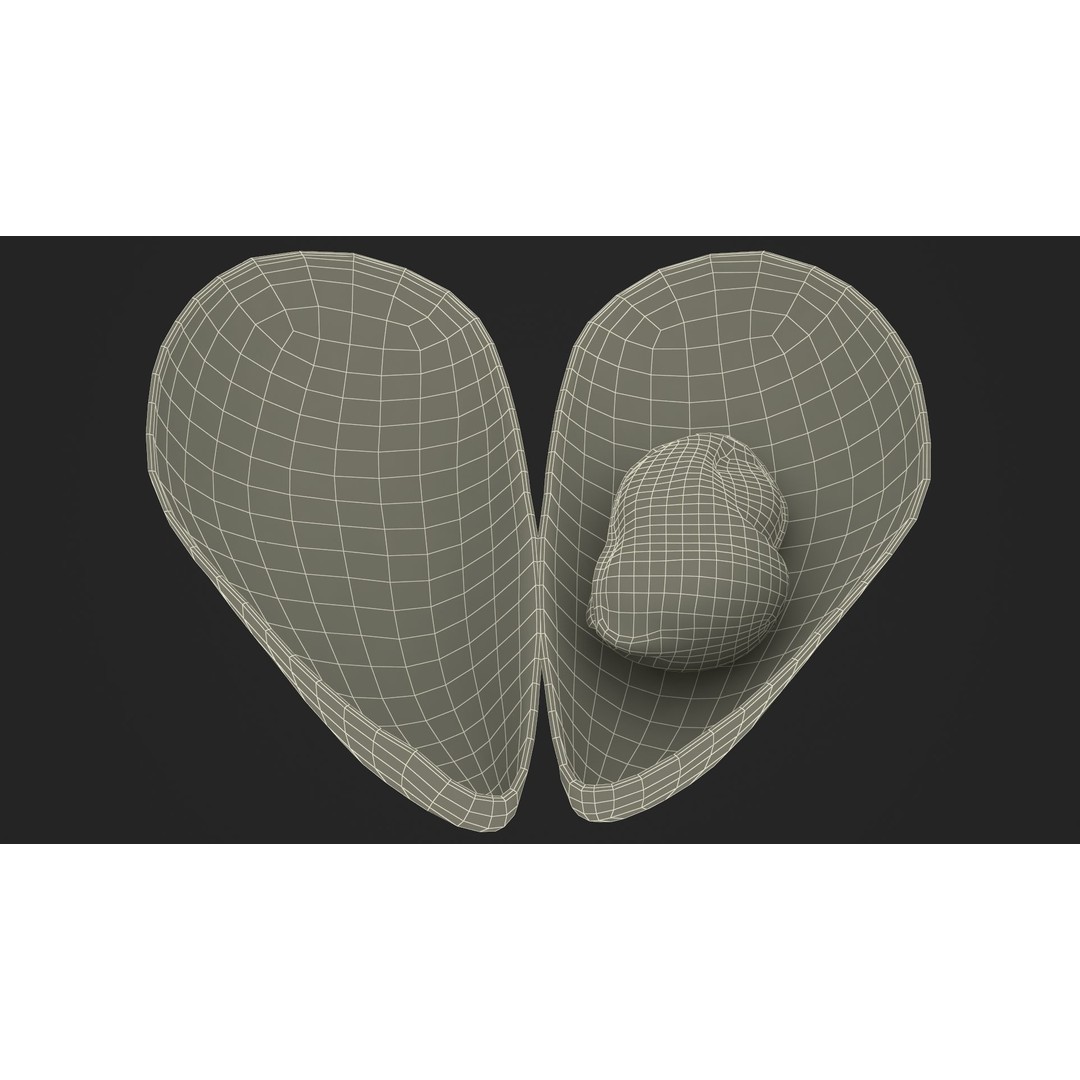 Open Cooked Mussel 3D Model – High Quality PBR Asset, FBX, OBJ - View 30