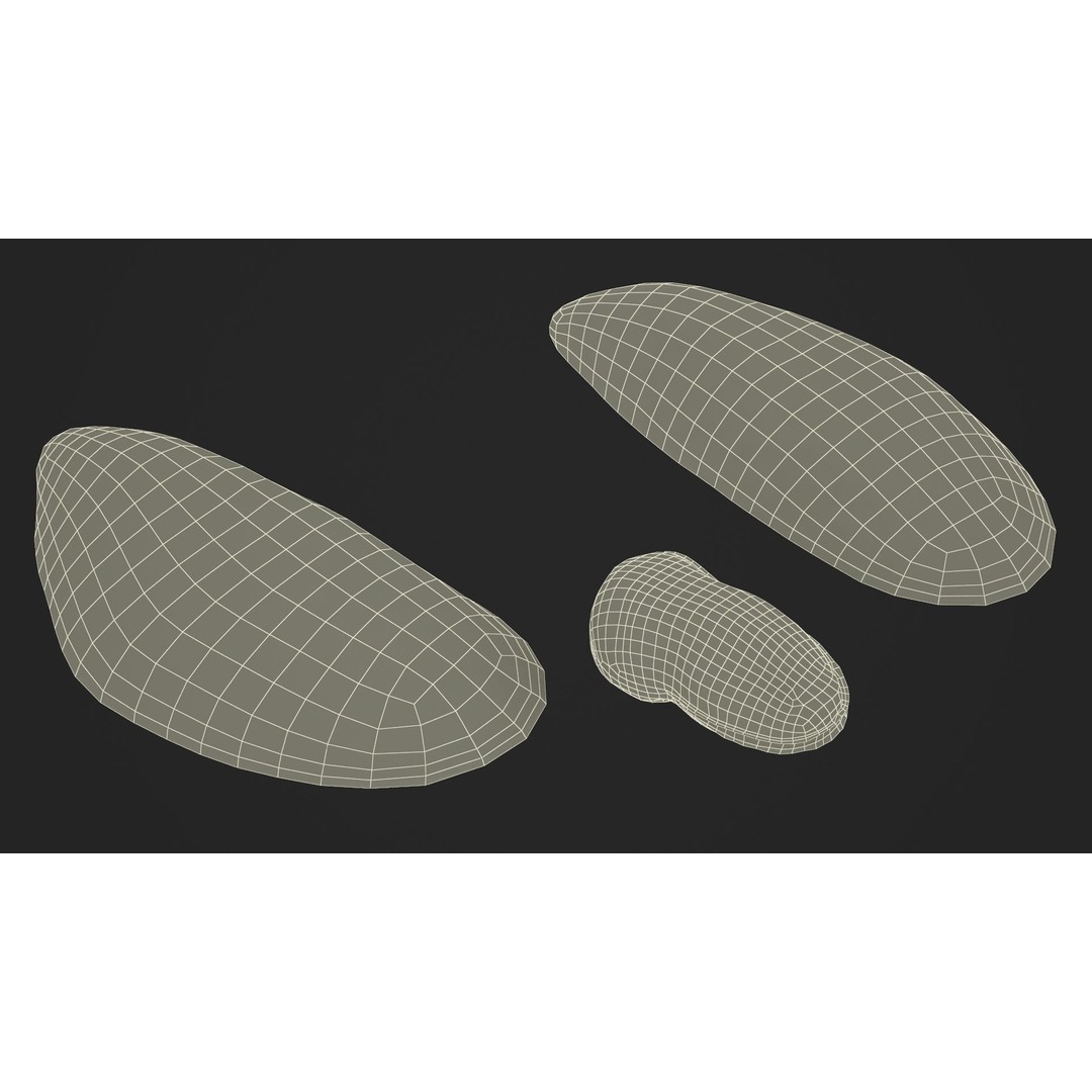 Open Cooked Mussel 3D Model – High Quality PBR Asset, FBX, OBJ - View 31