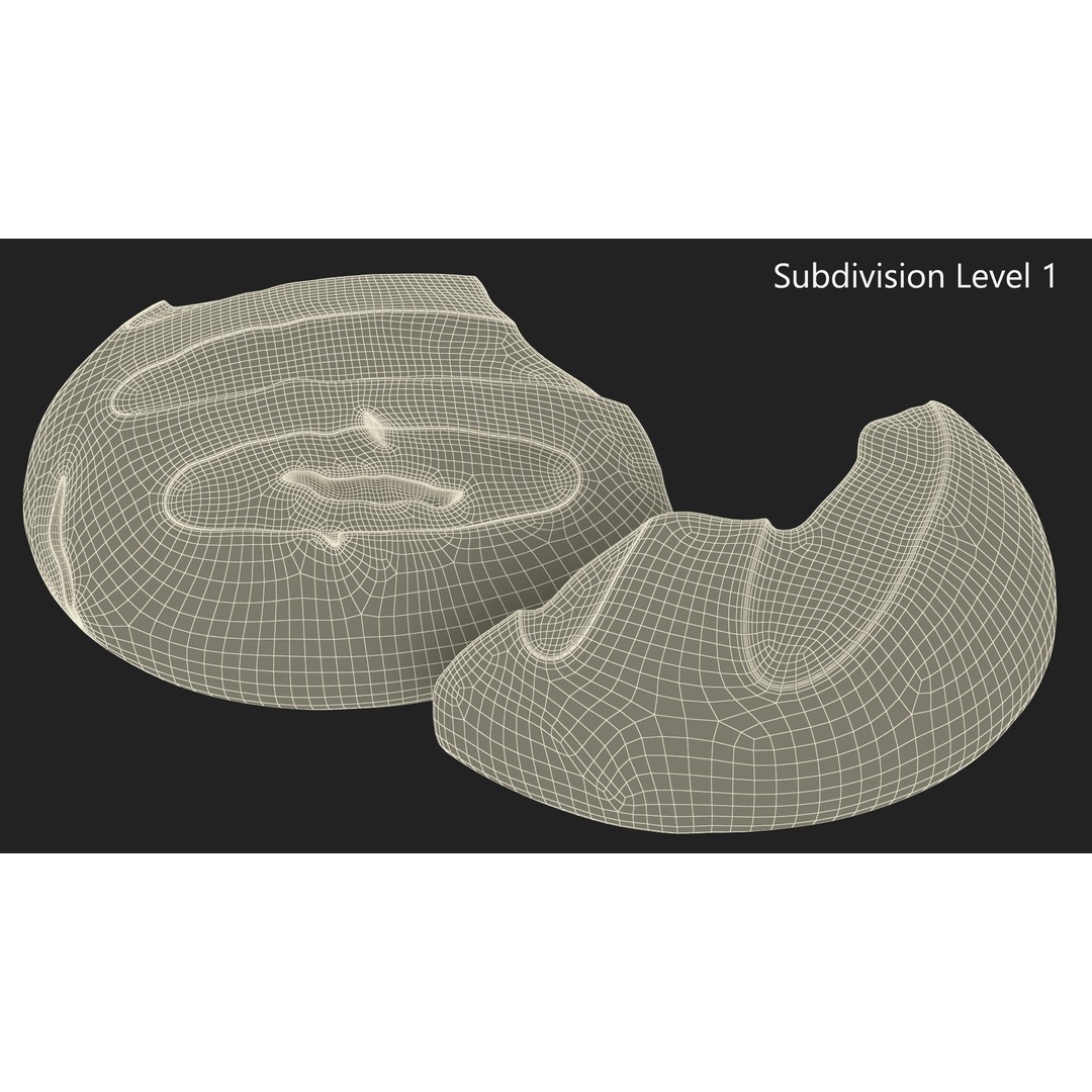 Broken Loaf of Round Bread 3D Model – High Quality PBR Asset, FBX, OBJ - View 11