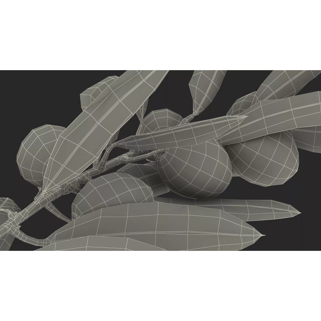 Olive Branch 3D Model – High Poly PBR Asset for Realistic Rendering
