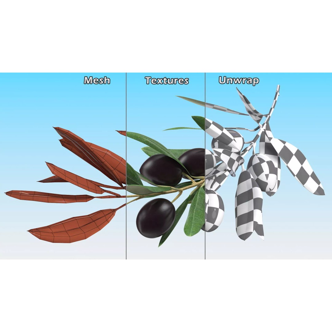 Olive Branch 3D Model – High Poly PBR Asset for Realistic Rendering - View 13