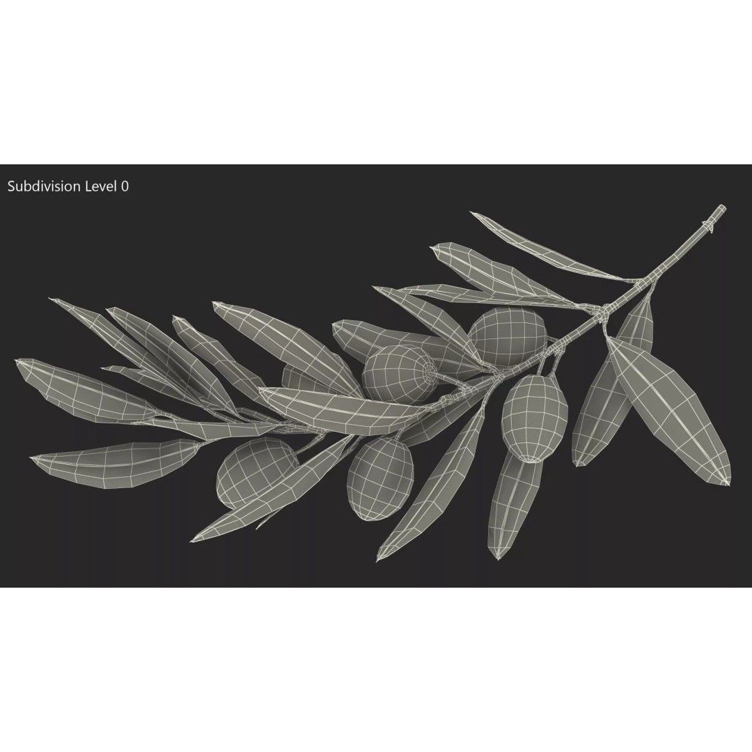 Olive Branch 3D Model – High Poly PBR Asset for Realistic Rendering - View 14