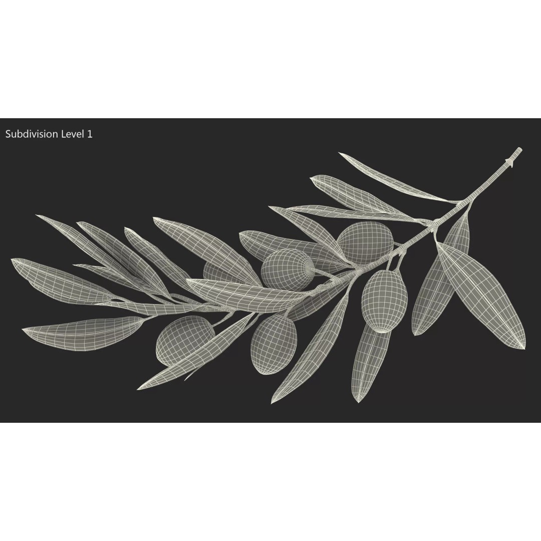 Olive Branch 3D Model – High Poly PBR Asset for Realistic Rendering - View 15