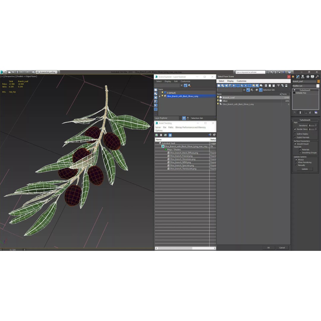 Olive Branch 3D Model – High Poly PBR Asset for Realistic Rendering - View 18