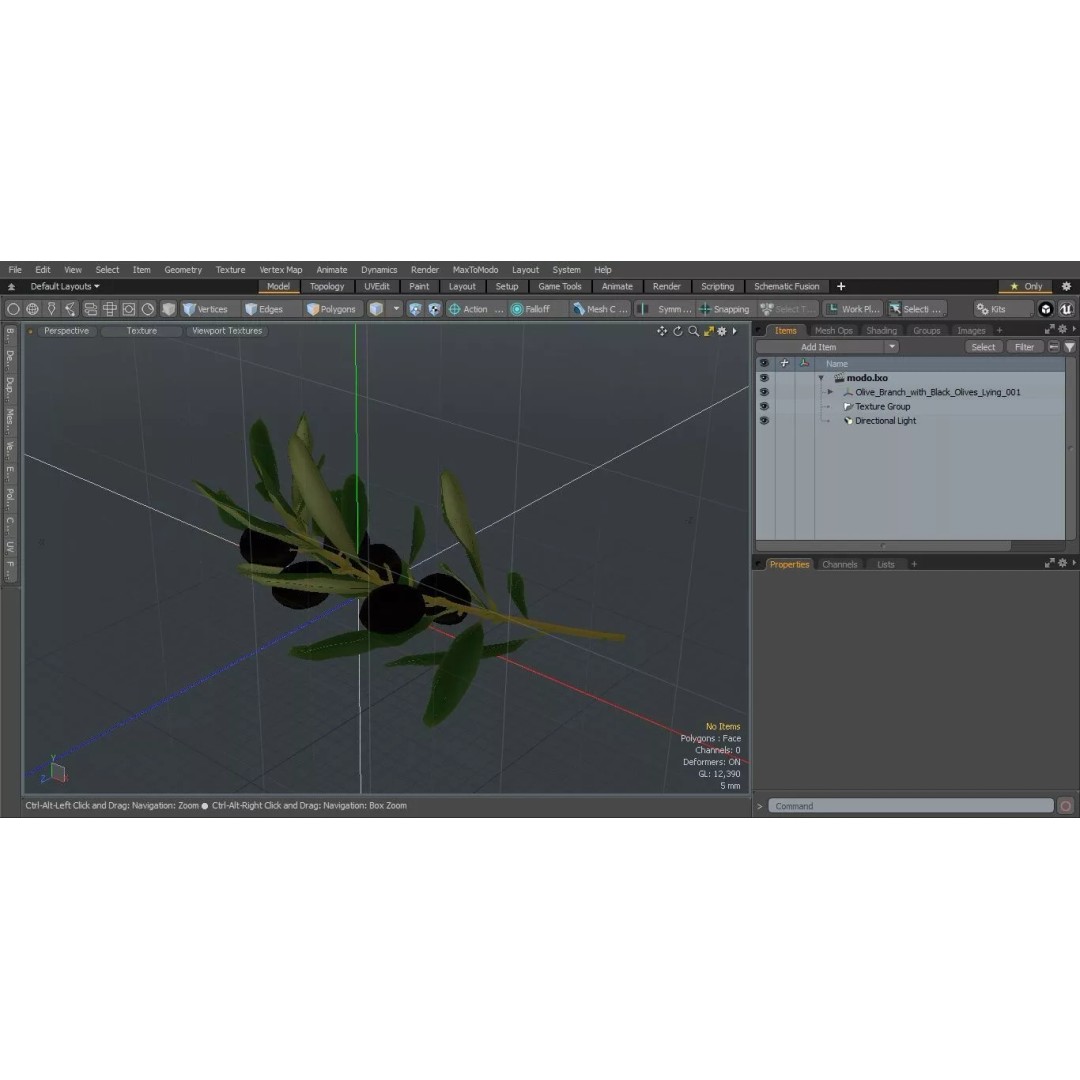 Olive Branch 3D Model – High Poly PBR Asset for Realistic Rendering - View 21