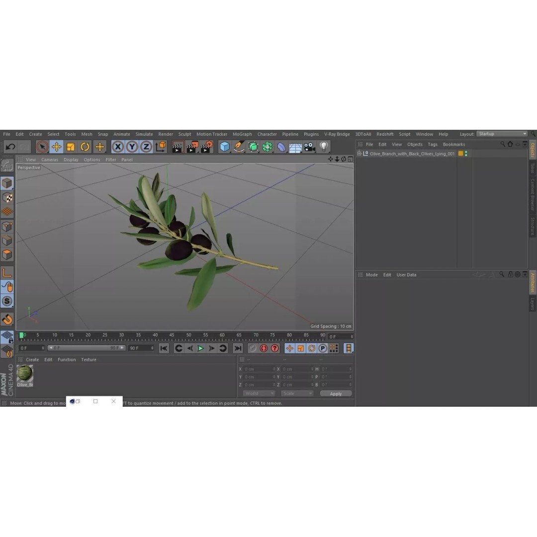 Olive Branch 3D Model – High Poly PBR Asset for Realistic Rendering - View 22
