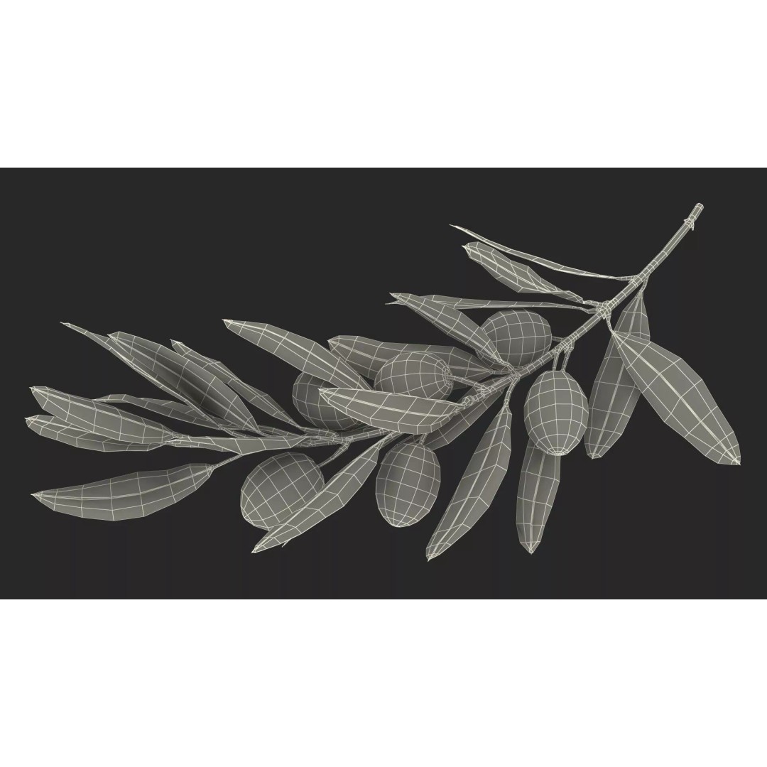 Olive Branch 3D Model – High Poly PBR Asset for Realistic Rendering - View 23