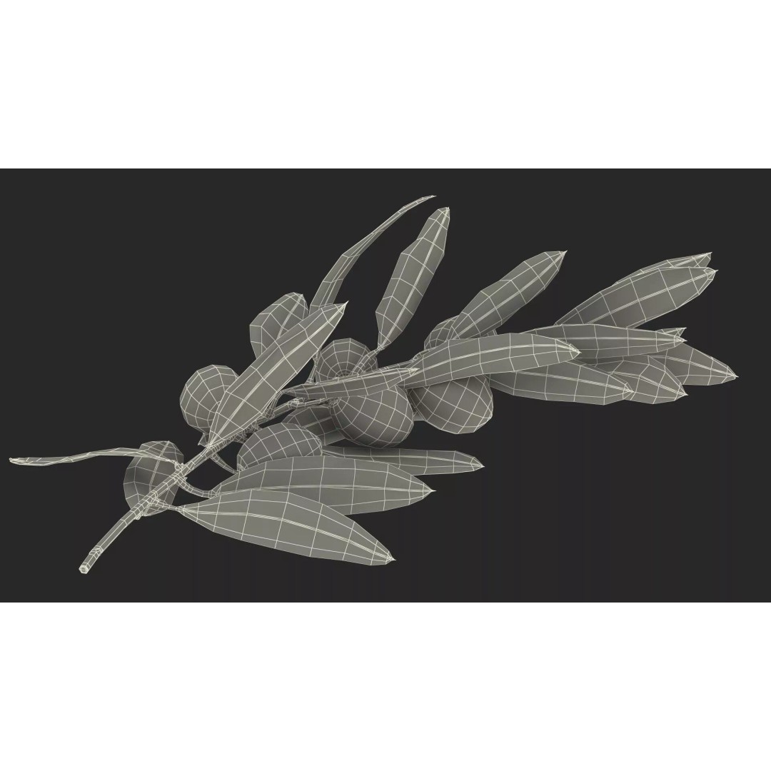 Olive Branch 3D Model – High Poly PBR Asset for Realistic Rendering - View 24