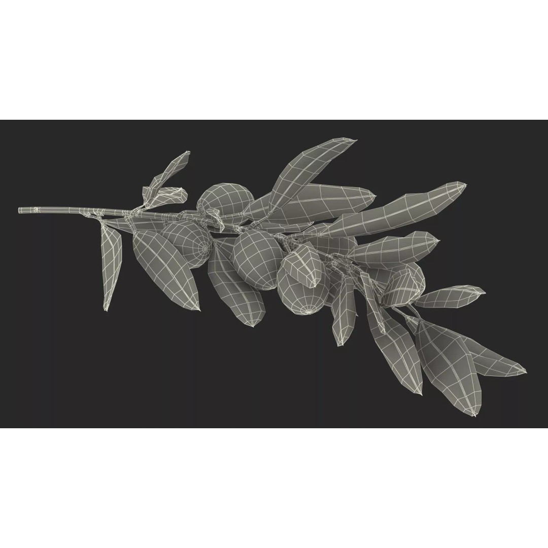 Olive Branch 3D Model – High Poly PBR Asset for Realistic Rendering - View 25