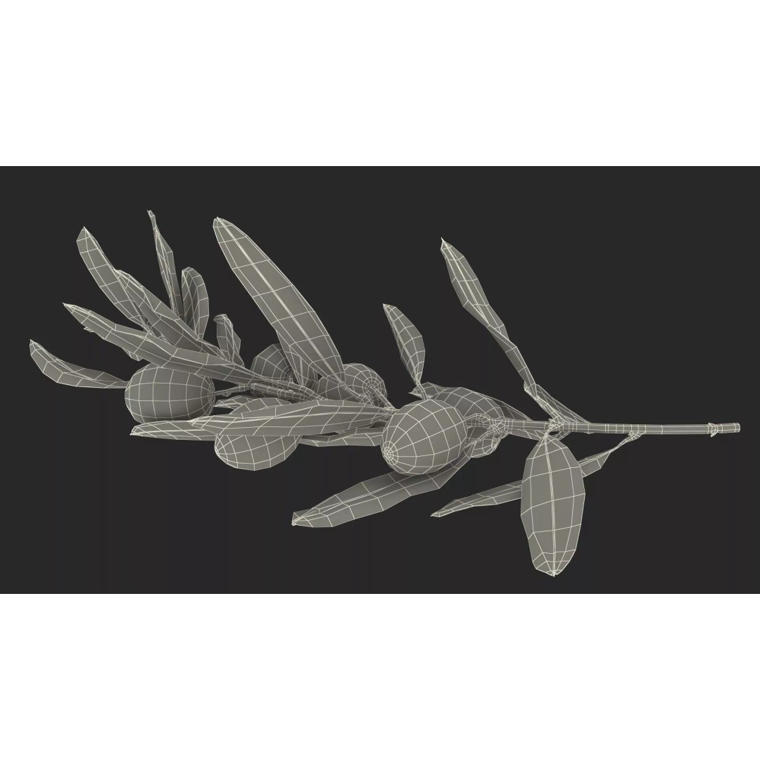Olive Branch 3D Model – High Poly PBR Asset for Realistic Rendering - View 26