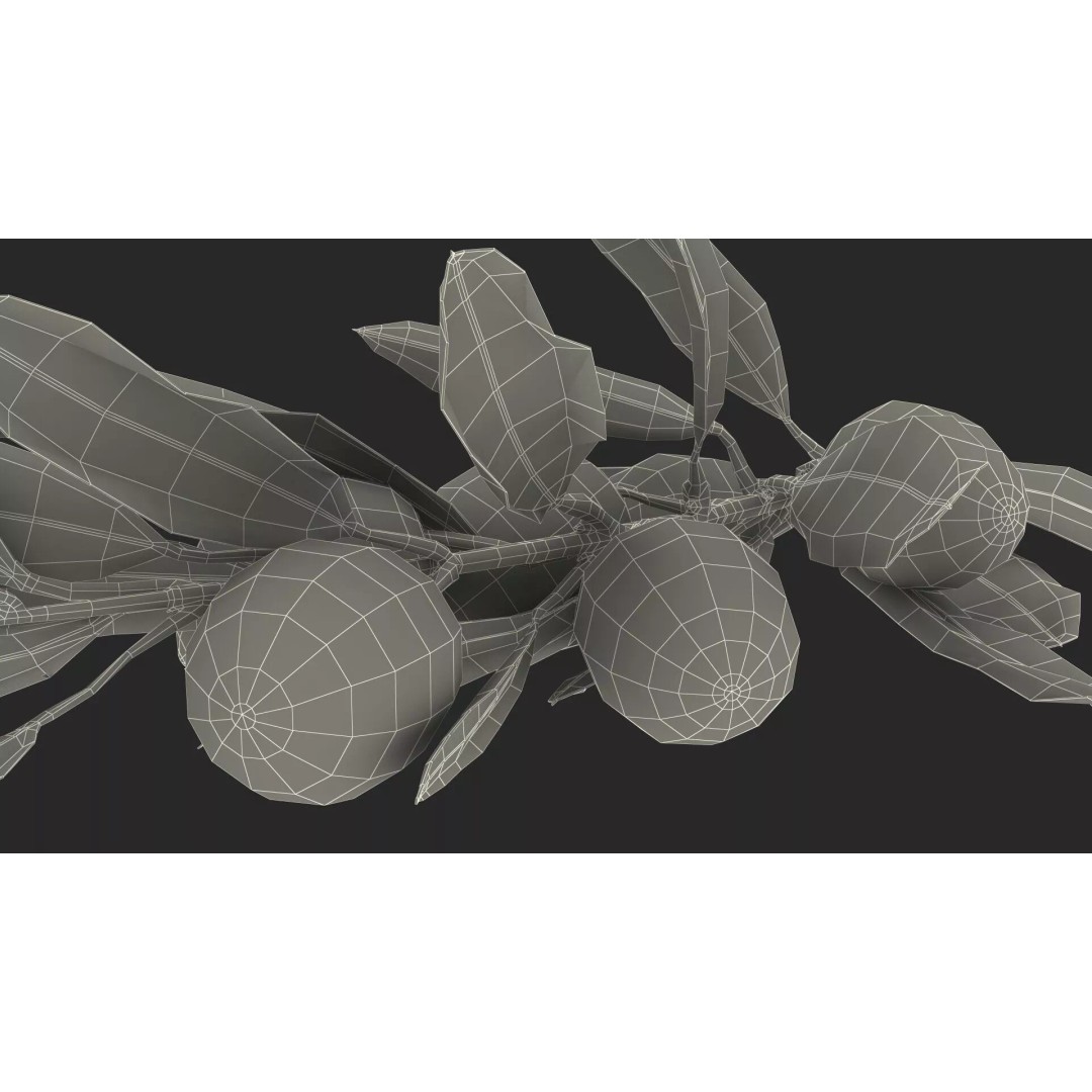 Olive Branch 3D Model – High Poly PBR Asset for Realistic Rendering - View 27