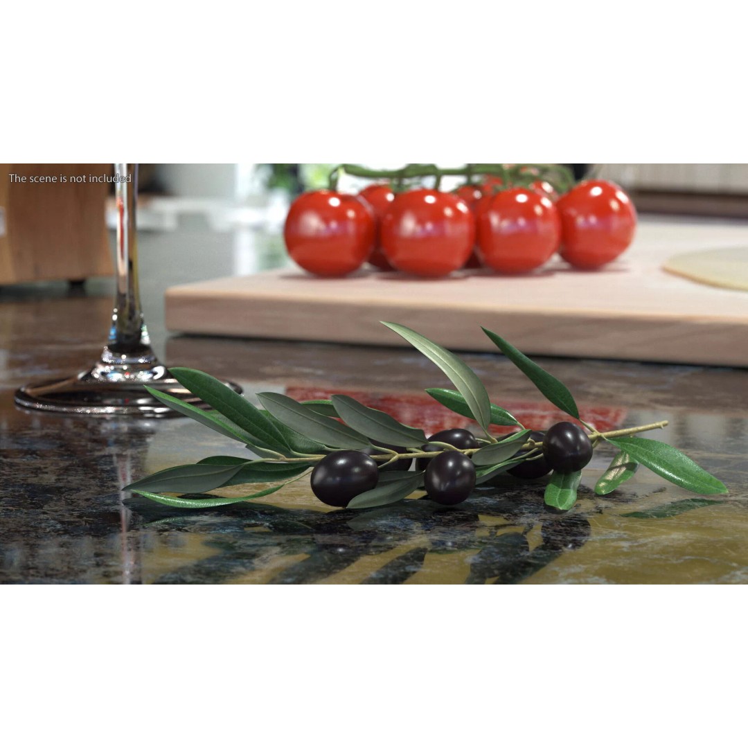 Olive Branch 3D Model – High Poly PBR Asset for Realistic Rendering - View 3