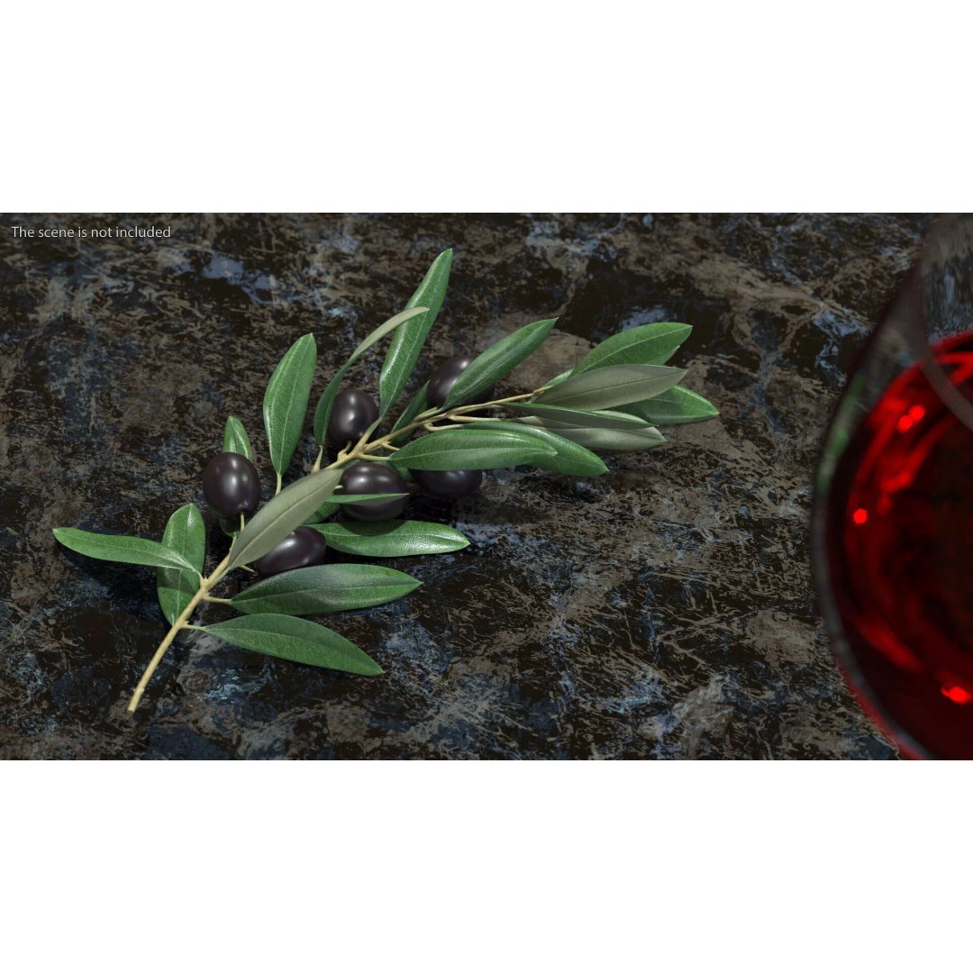 Olive Branch 3D Model – High Poly PBR Asset for Realistic Rendering - View 5