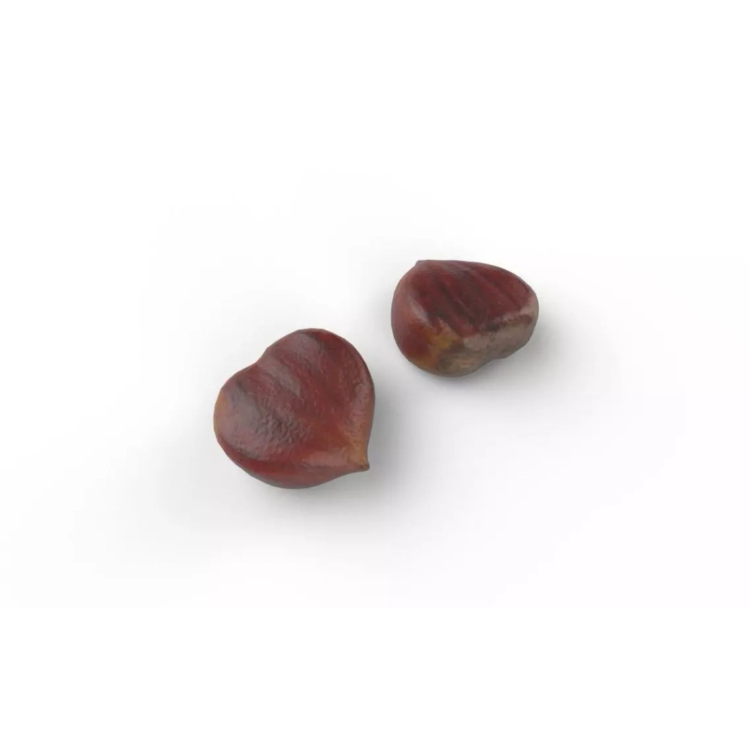 Chestnut M08 3D Model – Low Poly Game Asset, FBX, PBR Textures - View 6