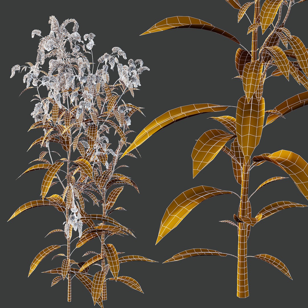 Different Grass 3D Model – Realistic Plant Asset, FBX & OBJ