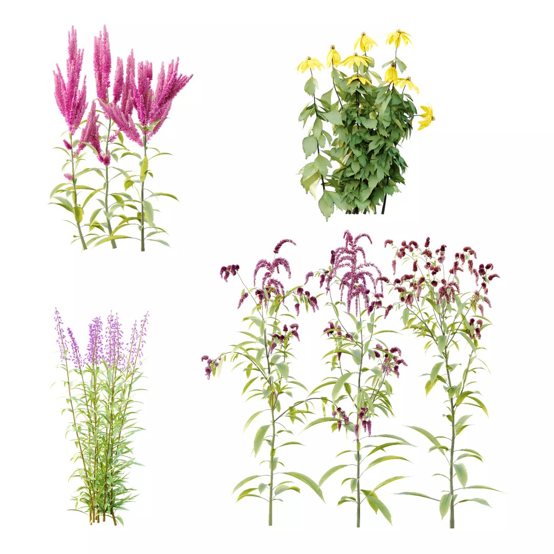 Different Grass 3D Model – Realistic Plant Asset, FBX & OBJ - View 2