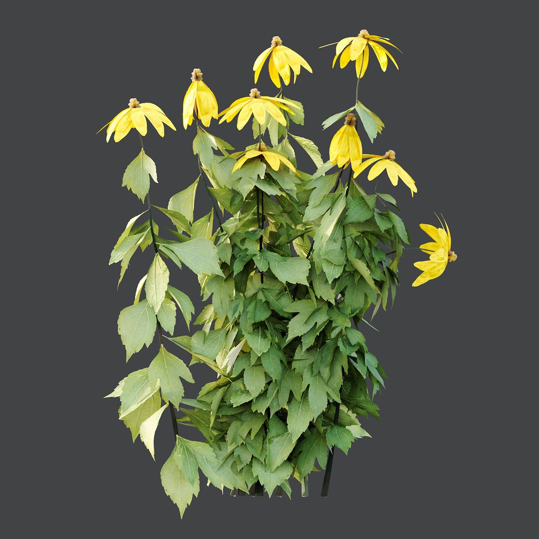 Different Grass 3D Model – Realistic Plant Asset, FBX & OBJ - View 5