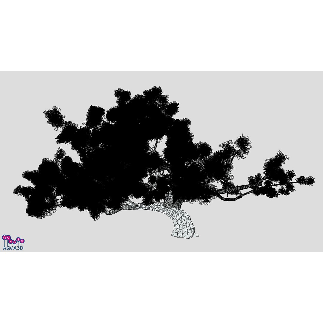Live Oak Tree 3D Model – Low Poly Plant Asset, FBX Format