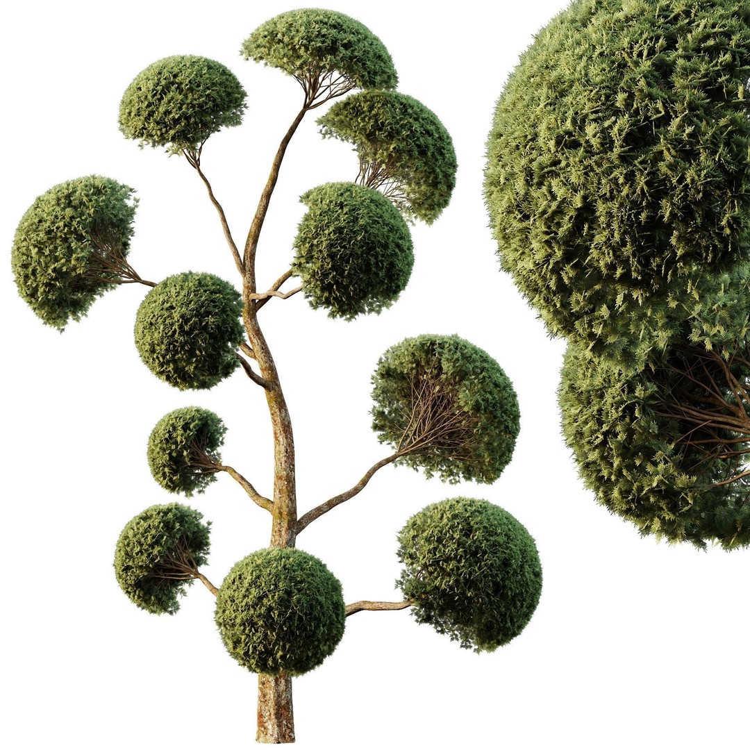 Spherical Tree 3D Model – High Poly Conifer Asset, FBX, OBJ - View 3