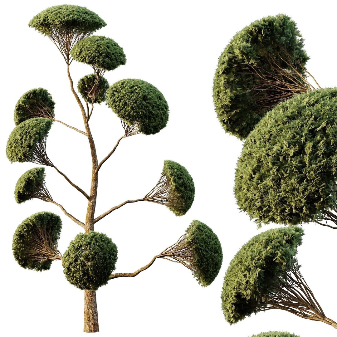 Spherical Tree 3D Model – High Poly Conifer Asset, FBX, OBJ - View 4