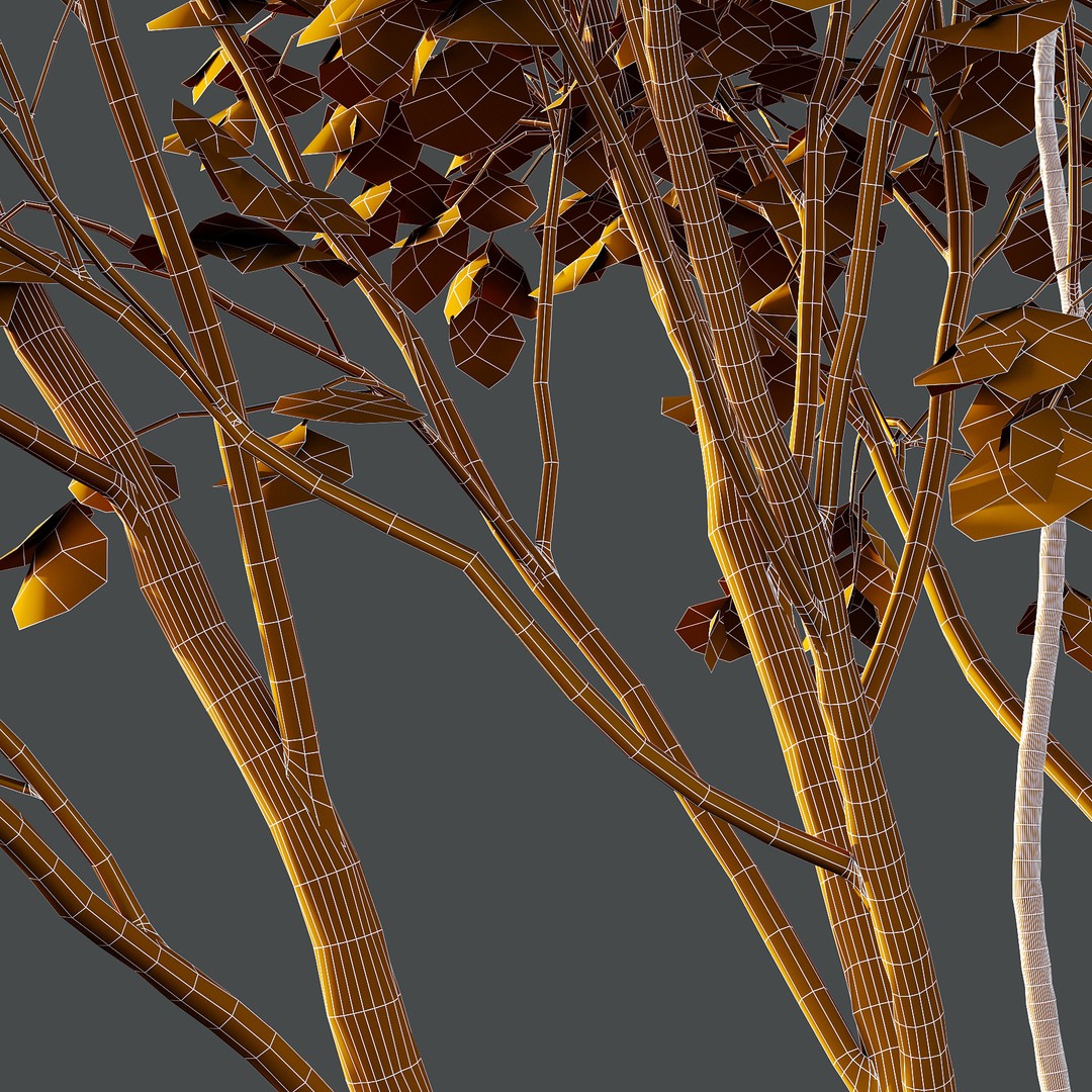 Acer Pseudoplatanus 3D Model – Realistic Spring Tree, FBX & OBJ