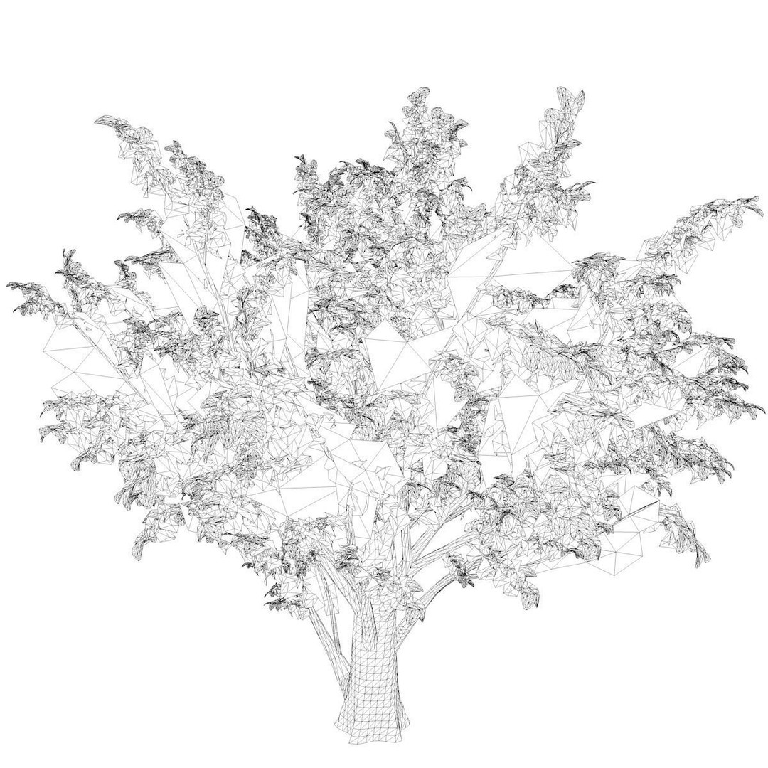 Common Hawthorn Tree 3D Model – Photorealistic Game Asset, FBX, OBJ - View 3