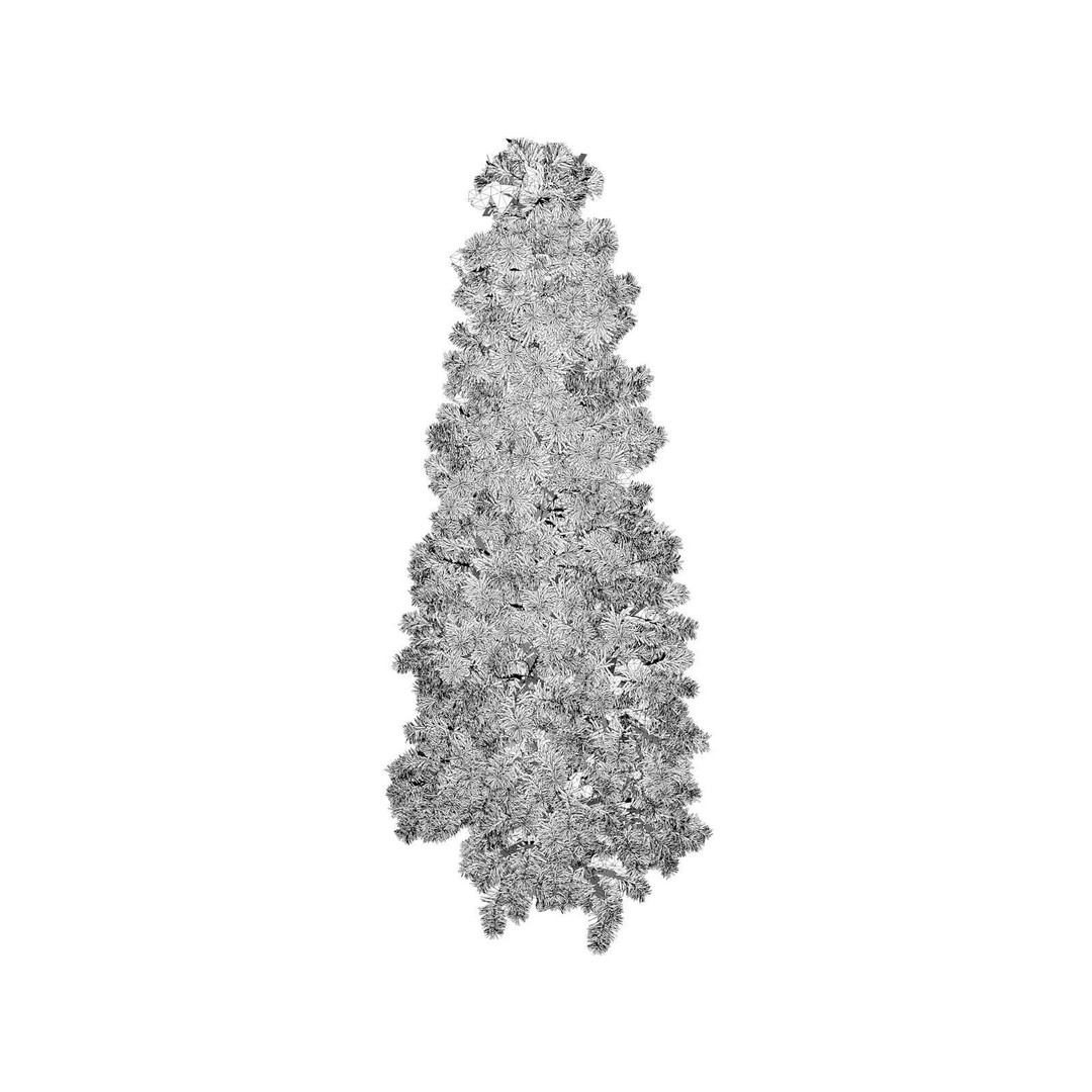 Colorado Blue Spruce Tree 3D Model – Photorealistic Vegetation Asset, FBX