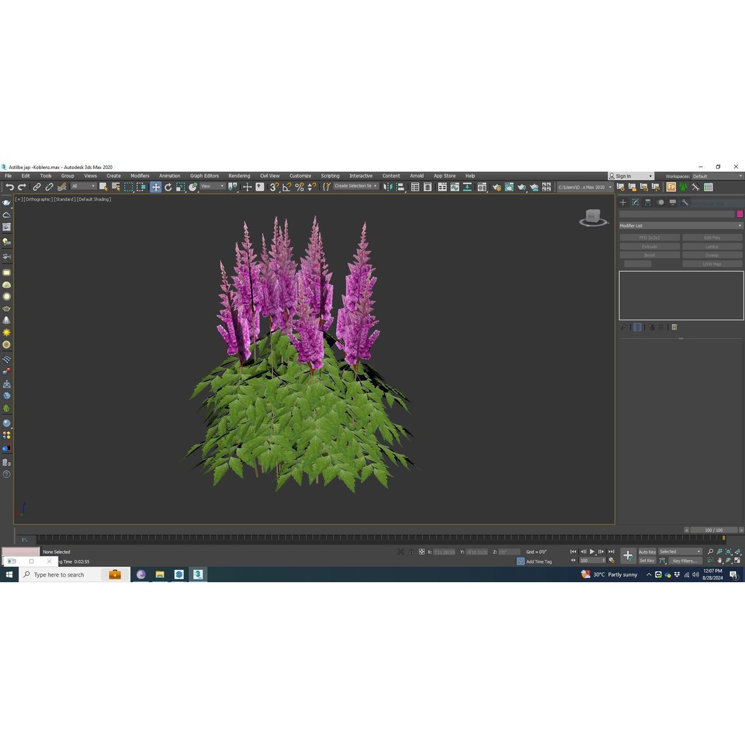 Astilbe jap -Koblenz 3D Model – Low Poly Game Asset, FBX, PBR Textures