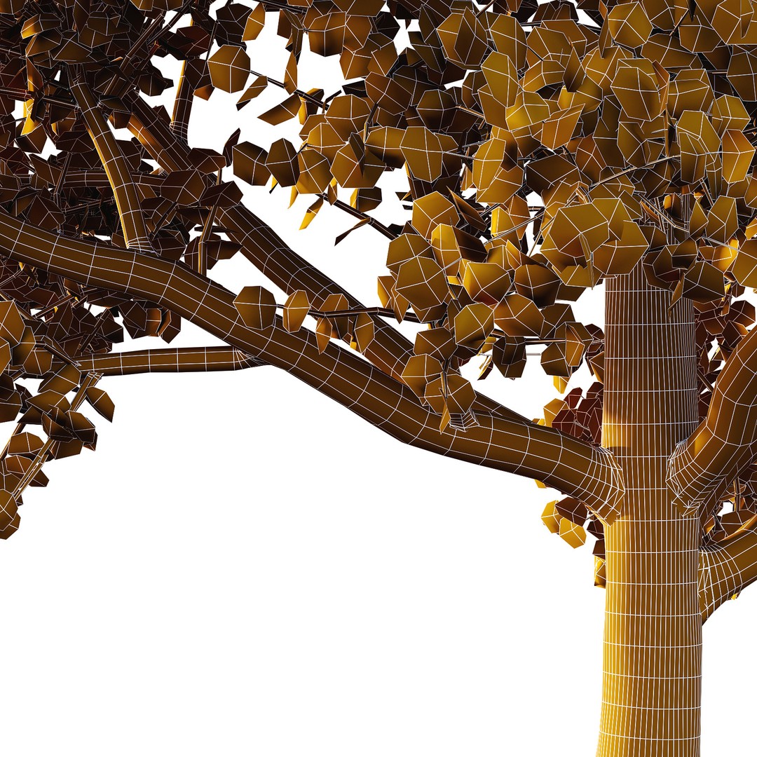 Acer Pseudoplatanus Tree 3D Model – High Poly PBR Asset, FBX & OBJ