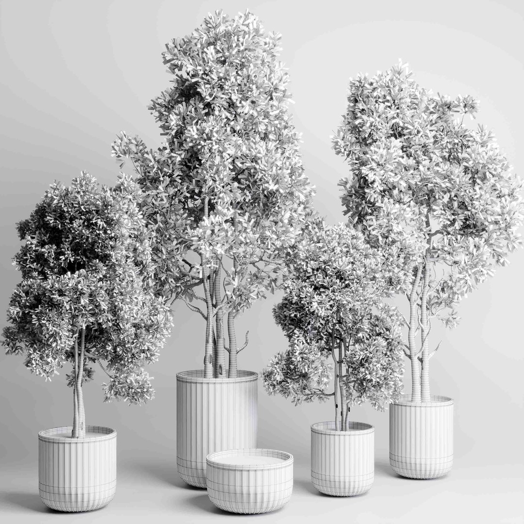 Indoor Tree 3D Model – Decorative Pot Plant with PBR Textures