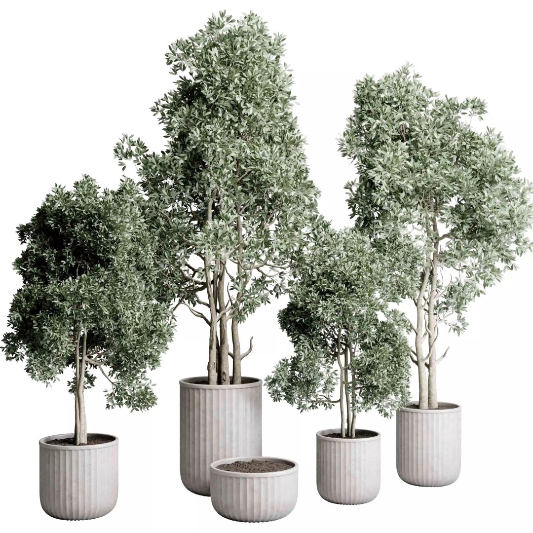 Indoor Tree 3D Model – Decorative Pot Plant with PBR Textures - View 2