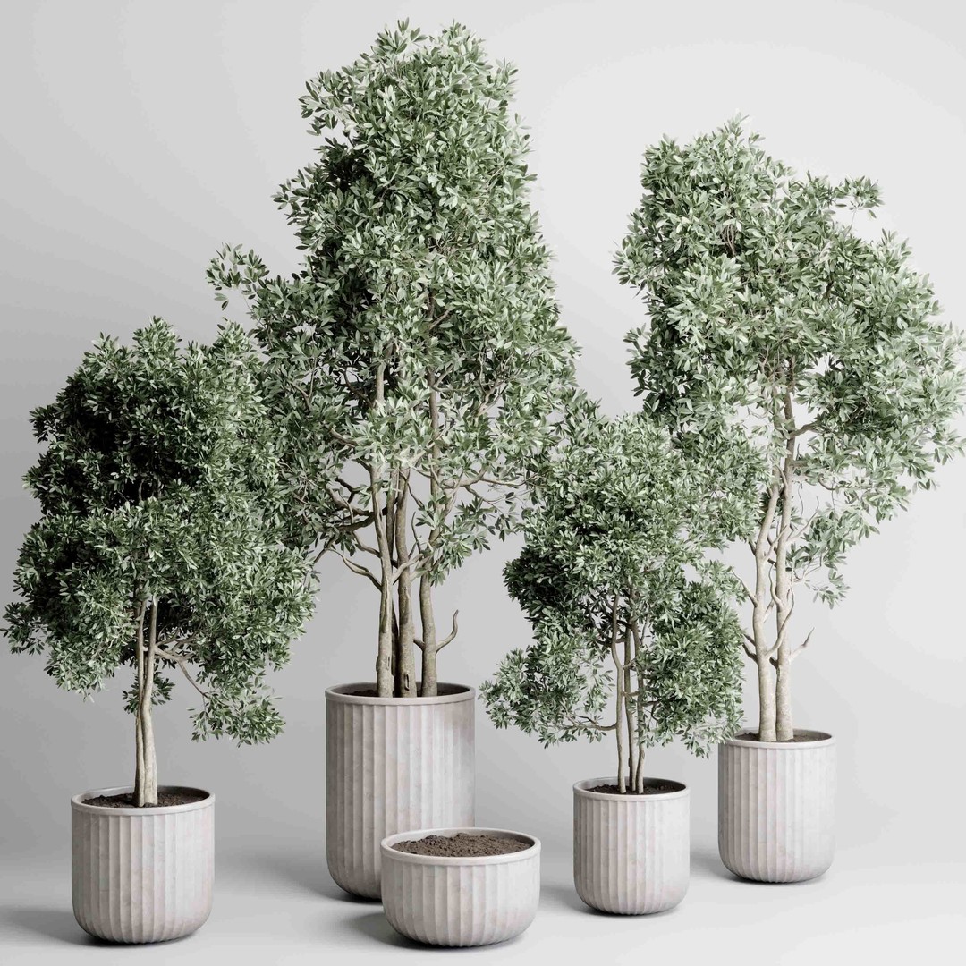 Indoor Tree 3D Model – Decorative Pot Plant with PBR Textures - View 3
