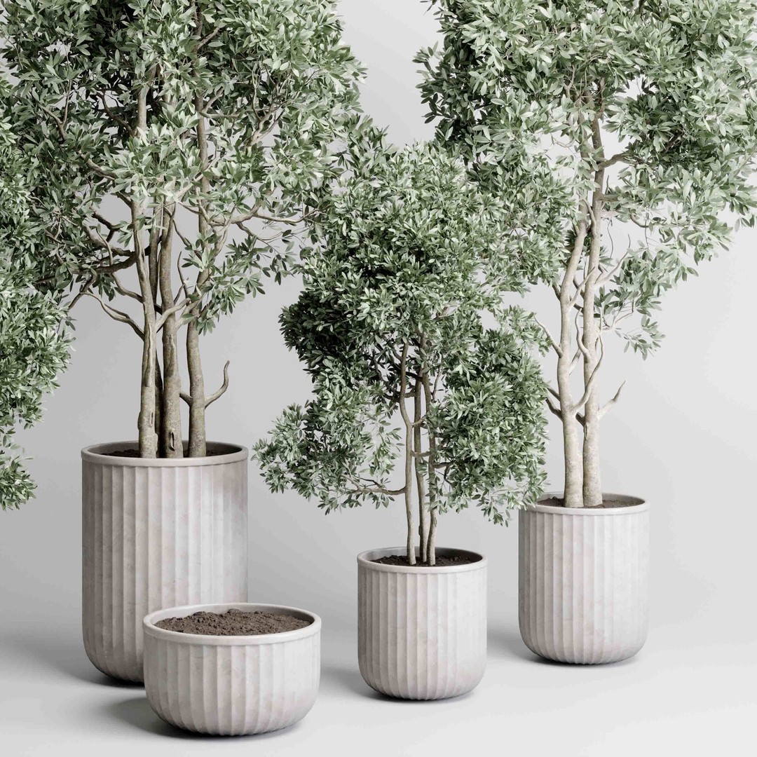 Indoor Tree 3D Model – Decorative Pot Plant with PBR Textures - View 4