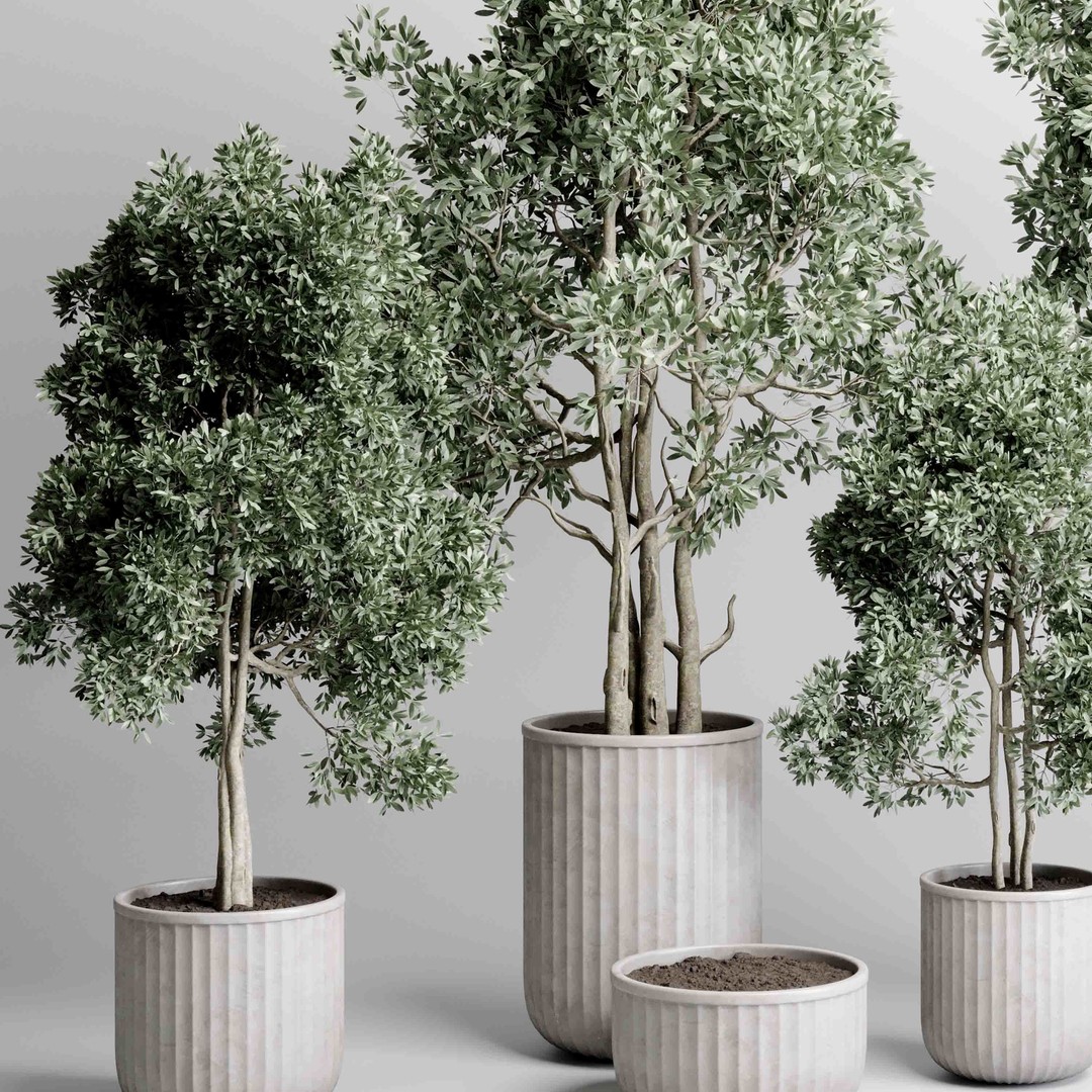 Indoor Tree 3D Model – Decorative Pot Plant with PBR Textures - View 5