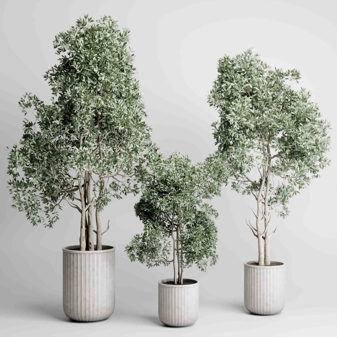 Indoor Tree 3D Model – Decorative Pot Plant with PBR Textures - View 7
